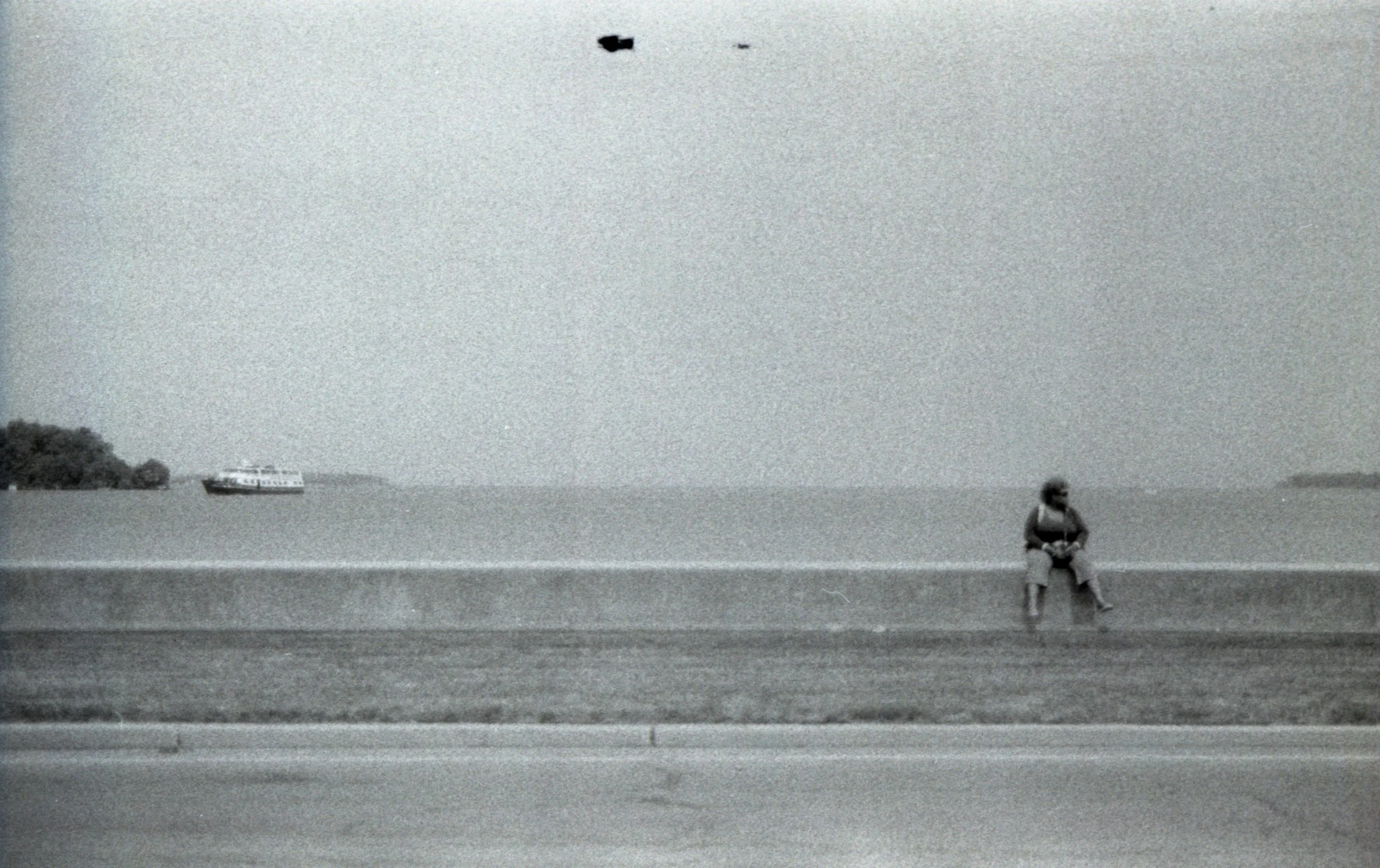 Film185.jpg