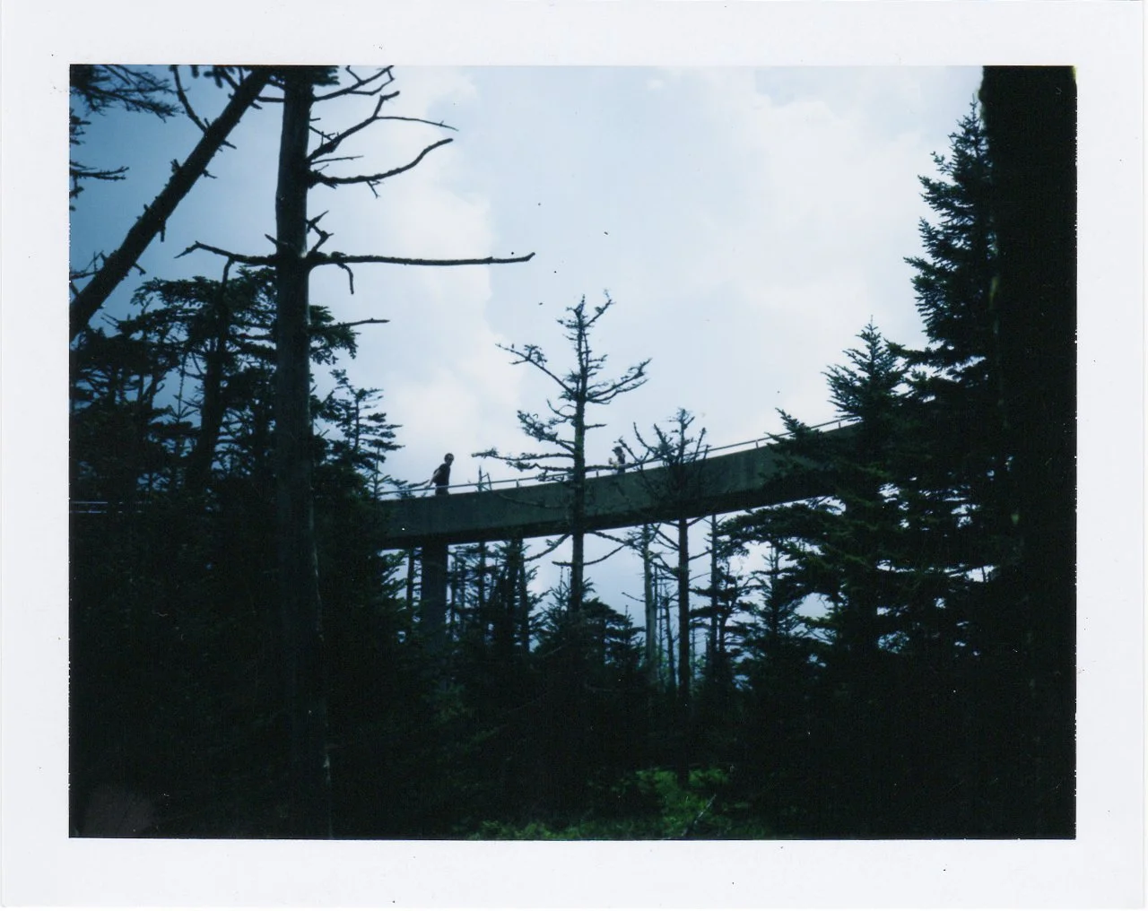 150606-Smokies-016.JPG