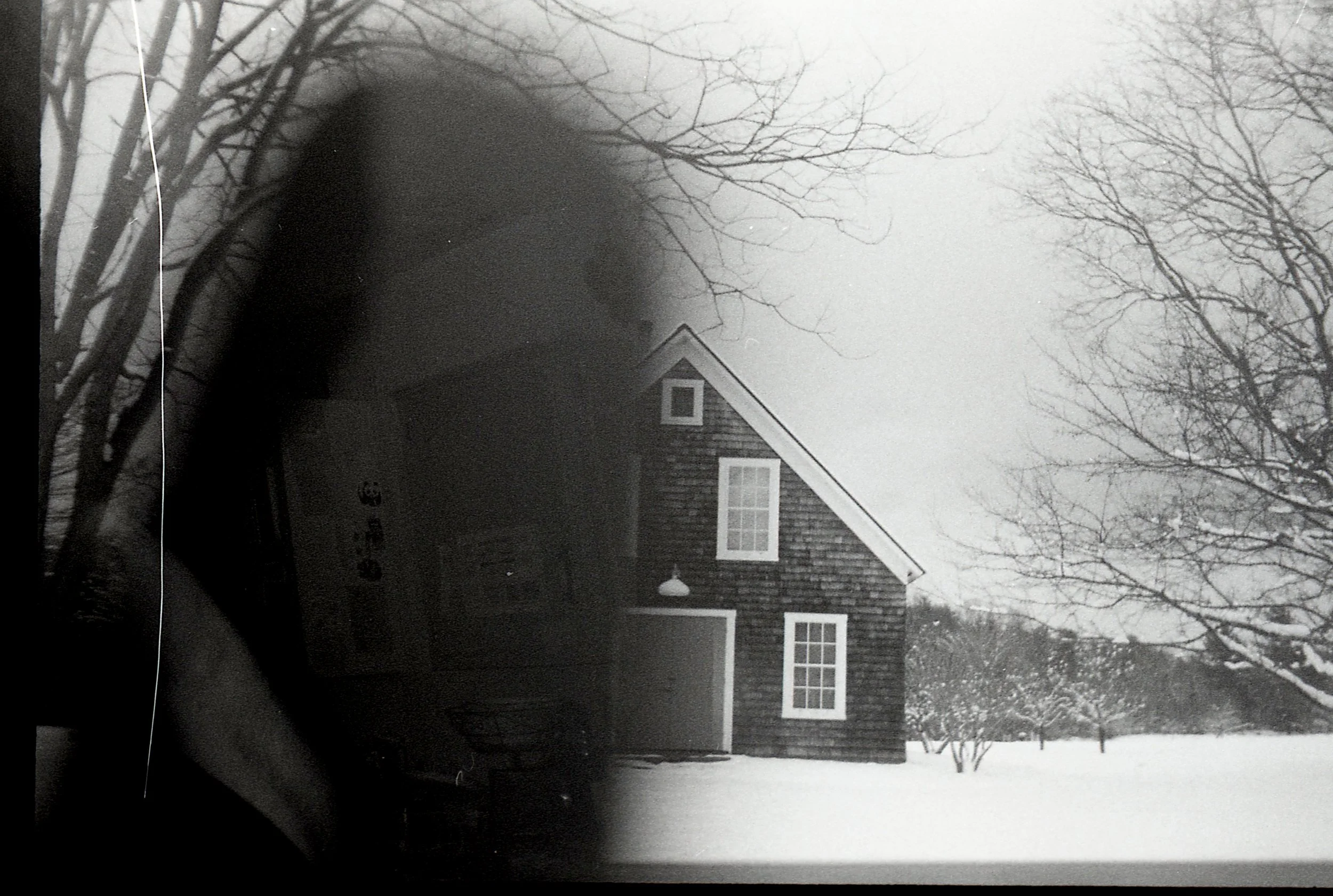 Film219.jpg