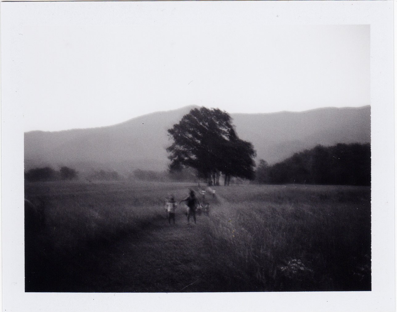 150606-Smokies-001.JPG