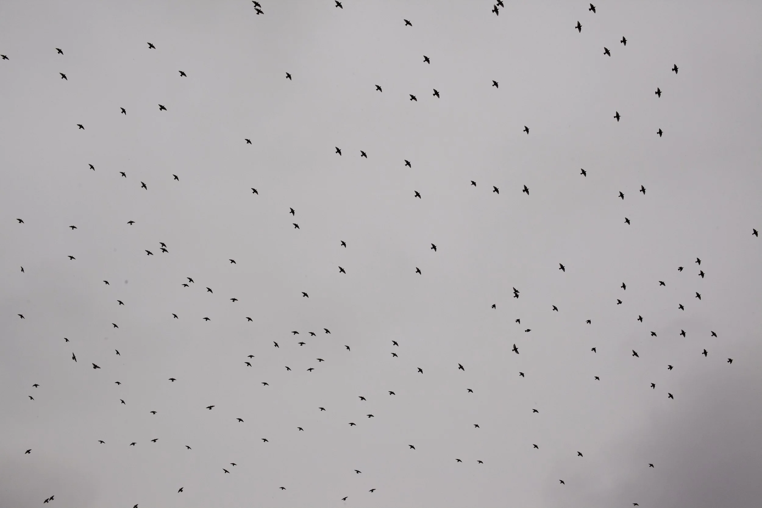 240829-Glouster-0041.JPG