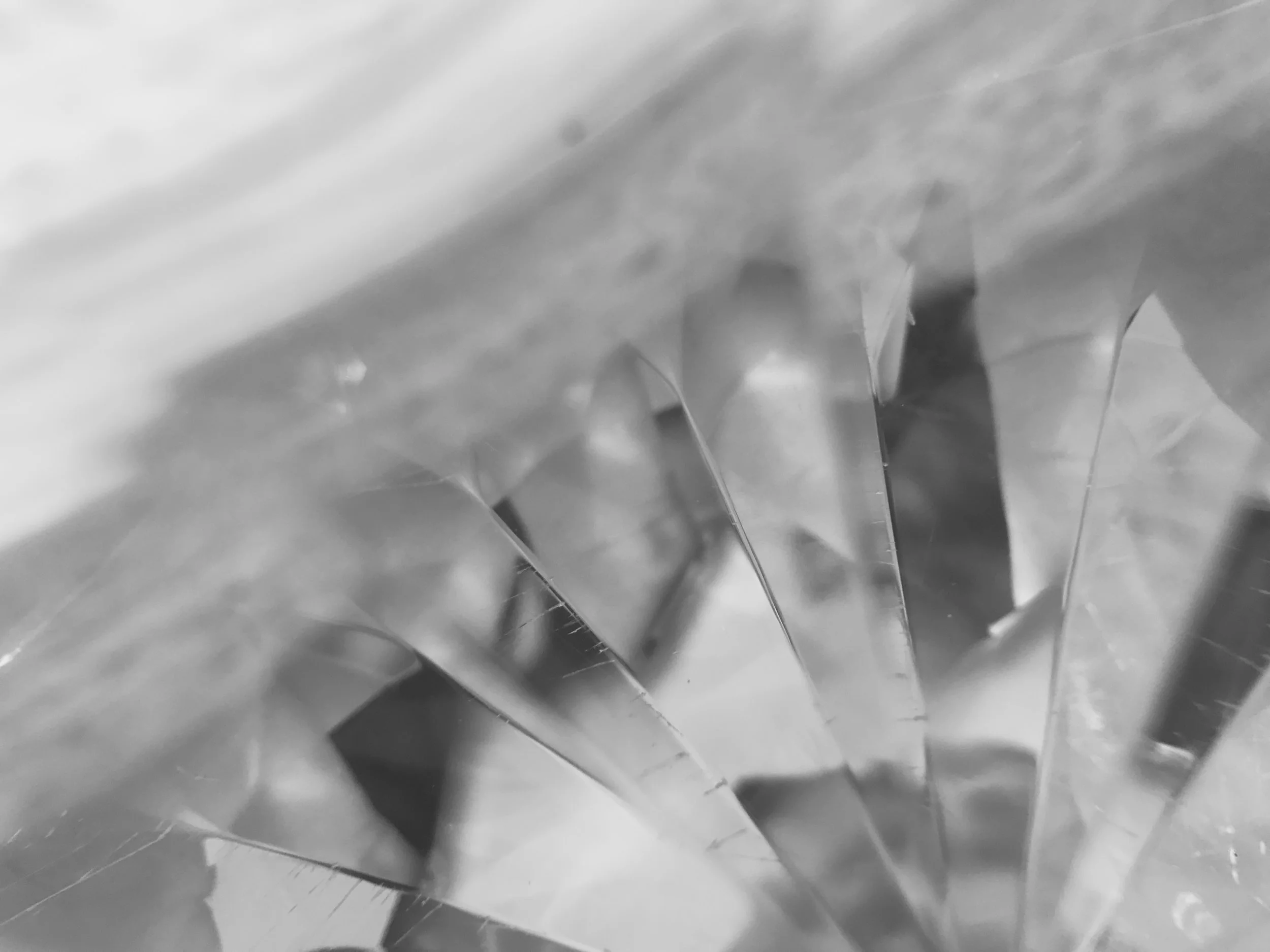 FullSizeRender4.jpg