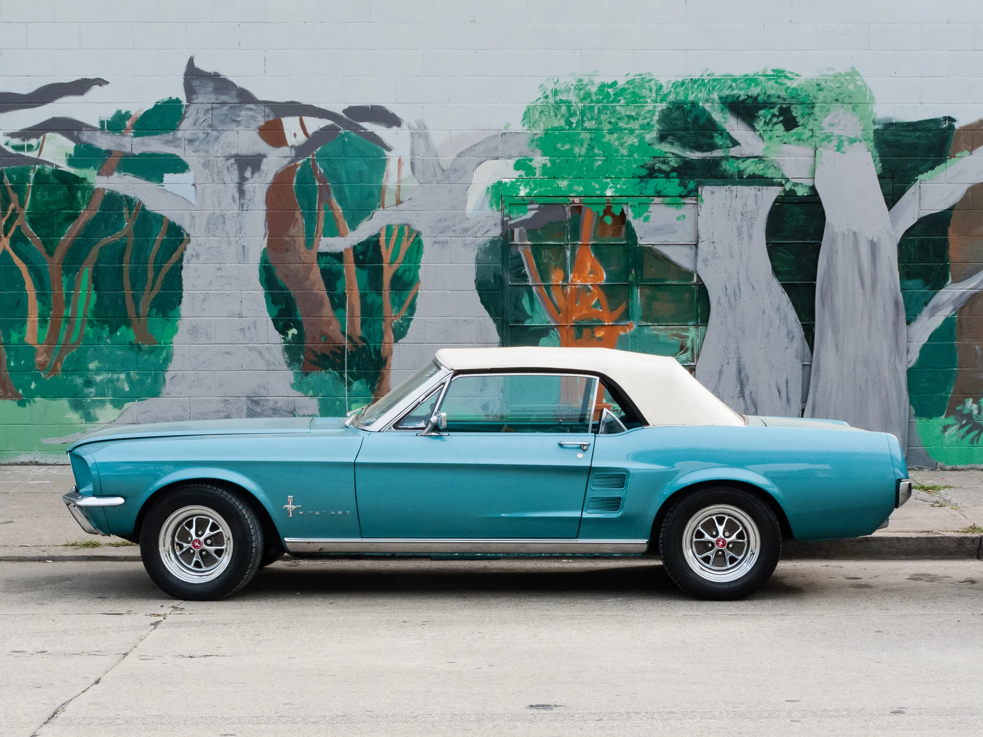 street_car-26.jpg