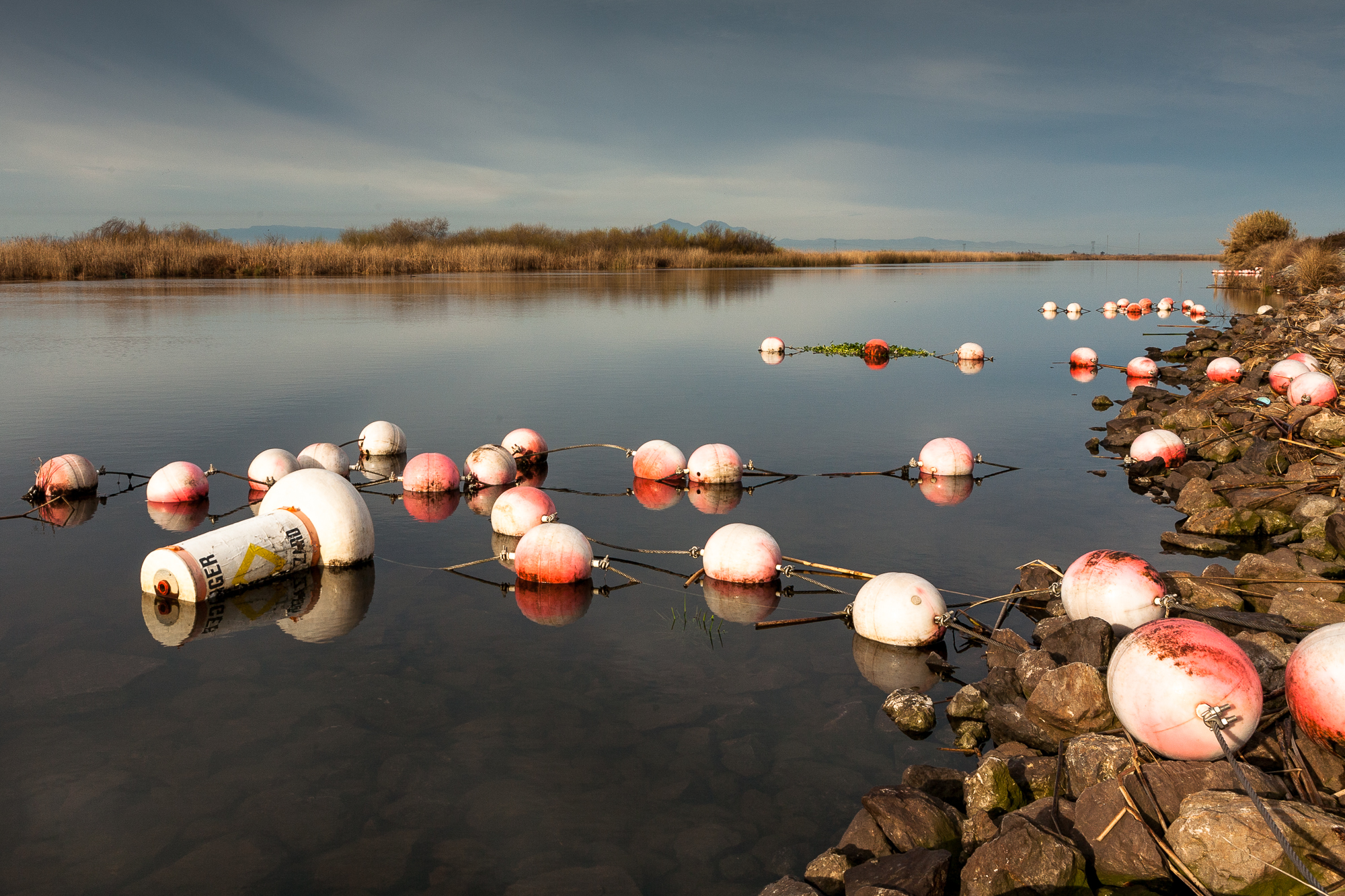 sacramento-delta-3.jpg