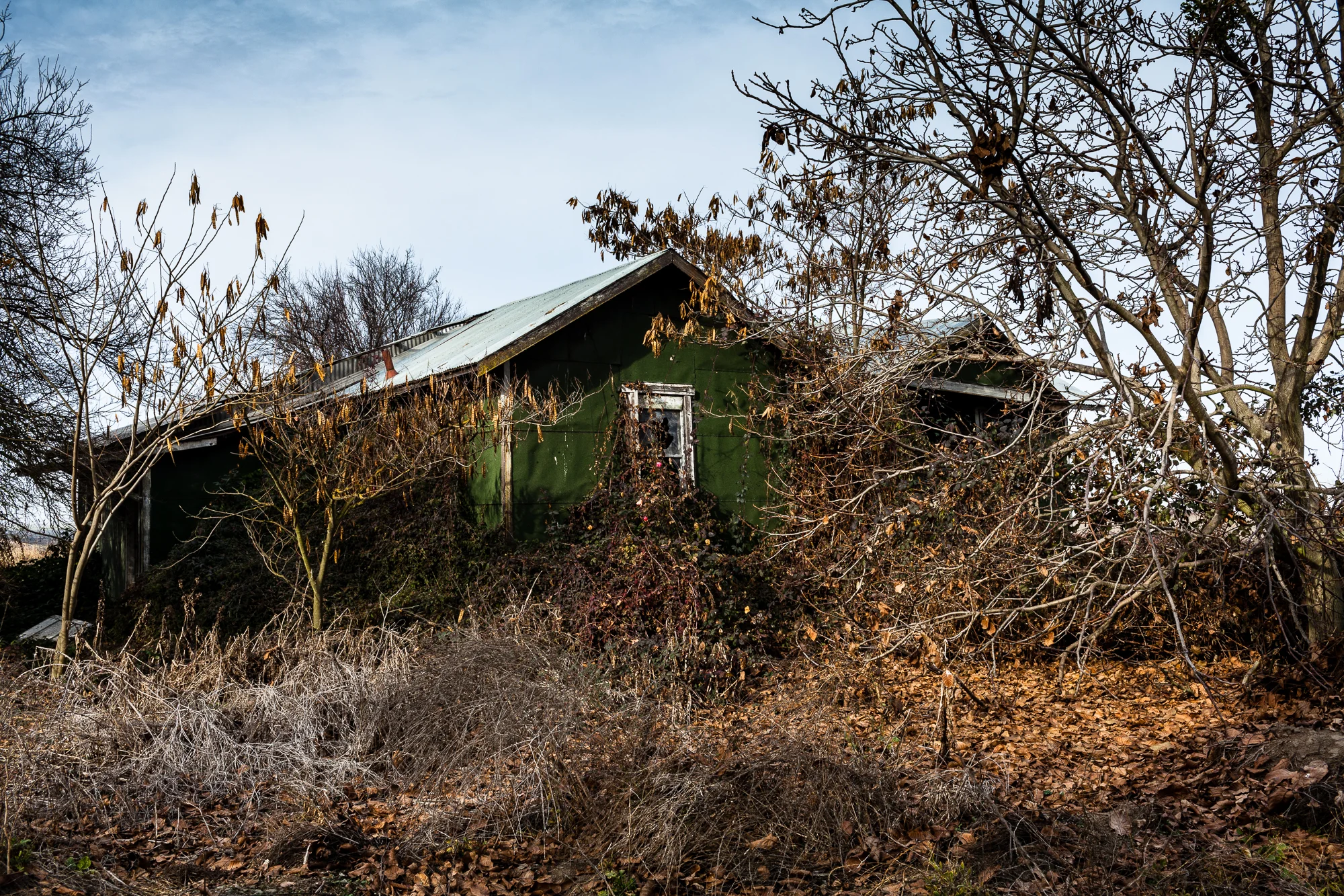 sacramento-delta-7.jpg