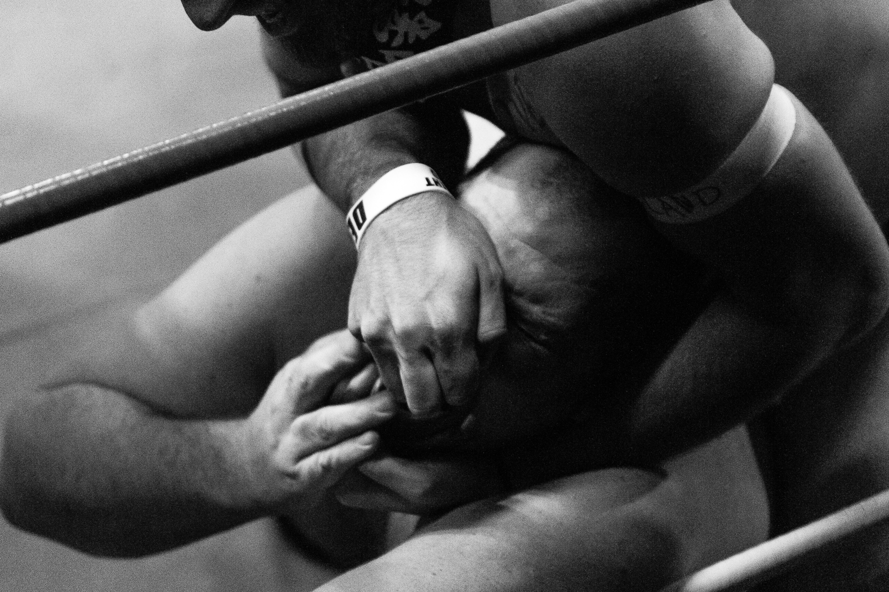 andre-hermann-wrestling-1.jpg