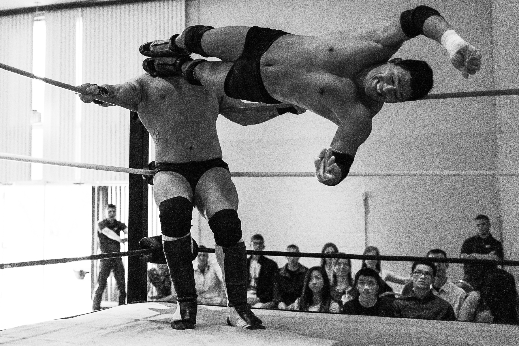 andre-hermann-wrestling-23.jpg