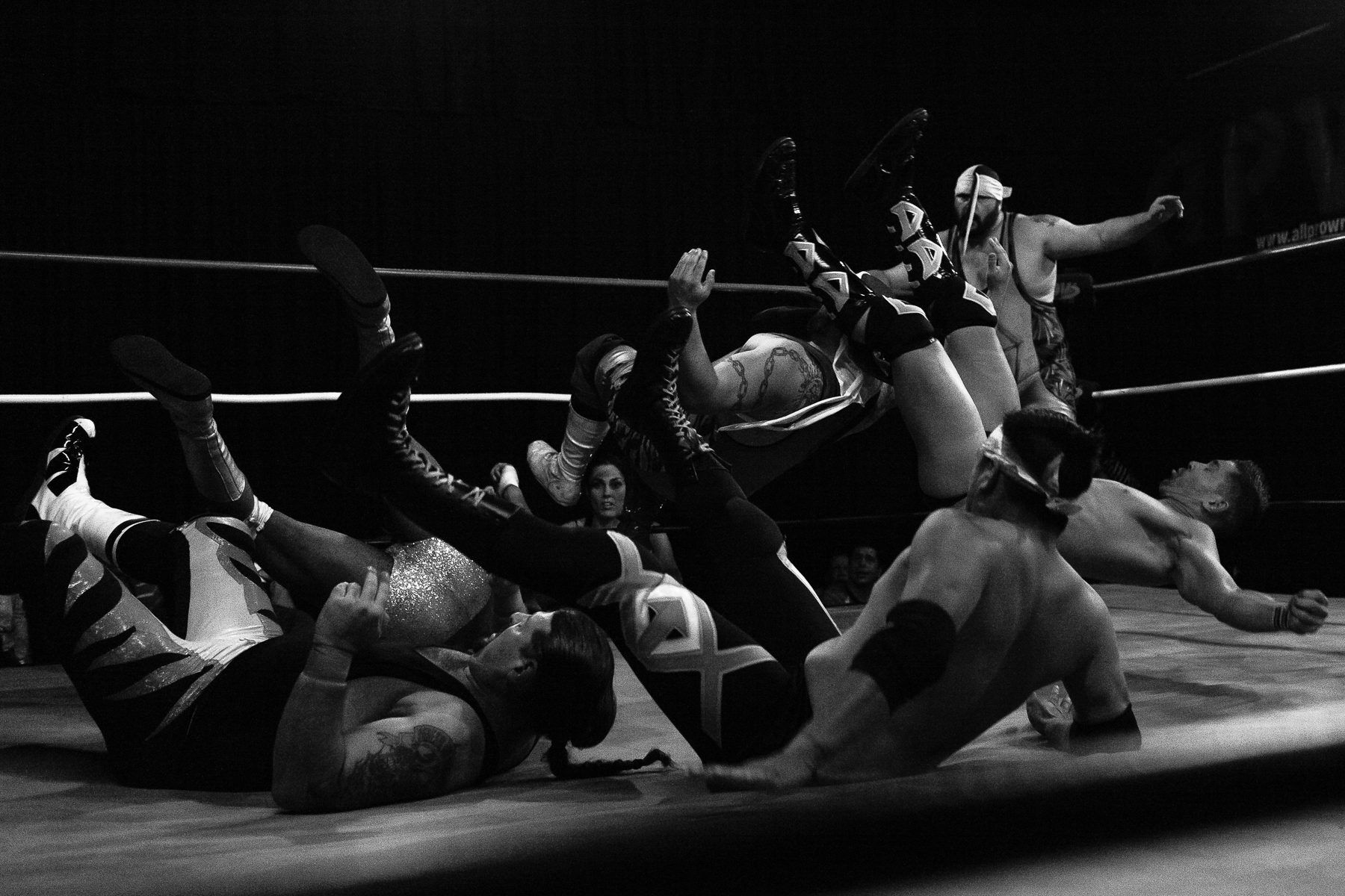 andre-hermann-wrestling-31.jpg