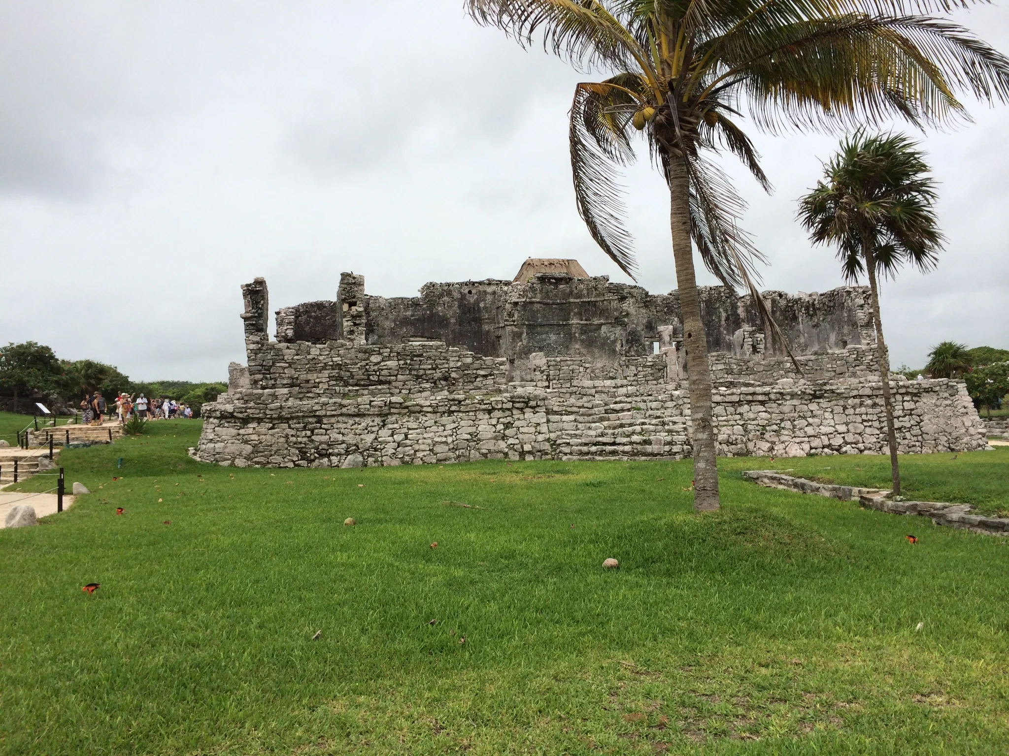 IMG_0216.JPG