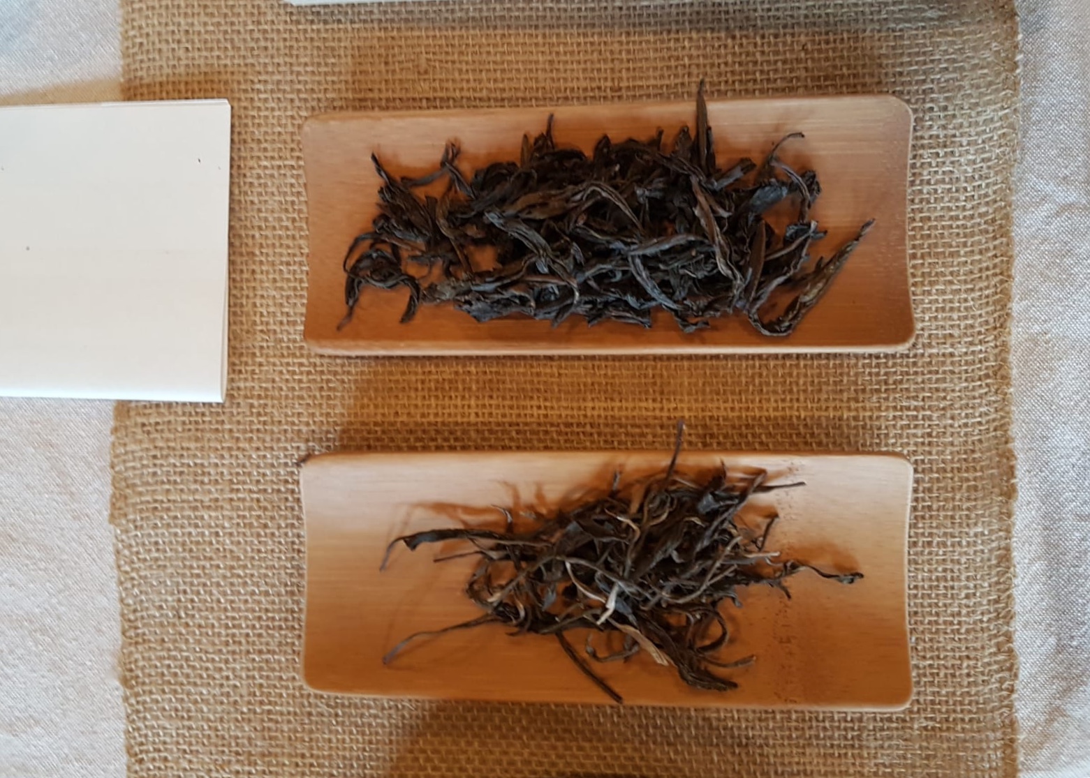TeaXchange Dec 2018: Boil the Leaf