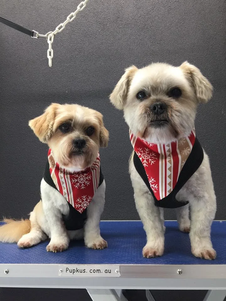 14 year olds Jay Jay and coco with their new cuts