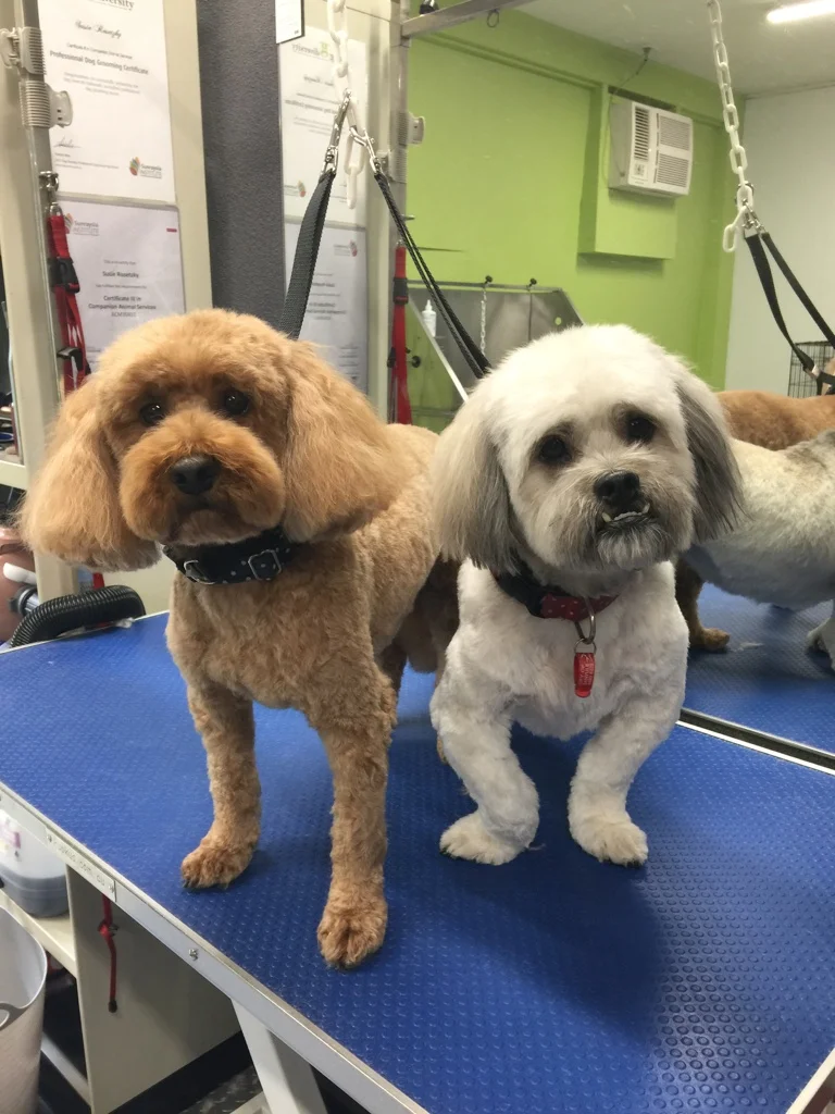 Barry and Barkley
