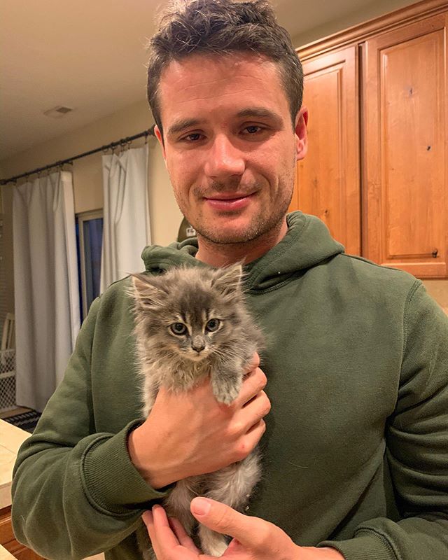 This adorable little fur ball is up for adoption. She was found in a business park in Salt Lake City yesterday. Her mom was hit by a car nearby. It was uncertain whether or not she was going to live through the day. Thankfully, she stayed alive to ma