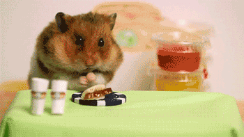 hamster.gif