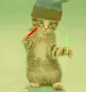 ravecat.gif