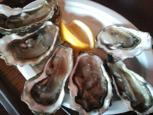 beloved oysters