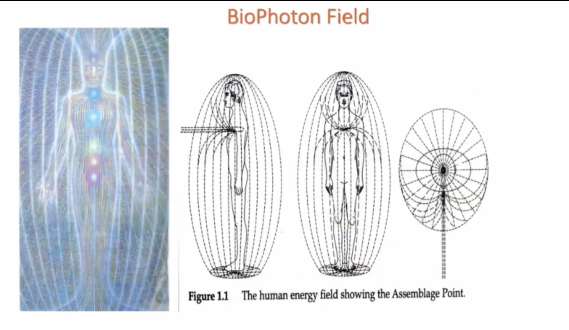 bioenergy photo 1.jpg