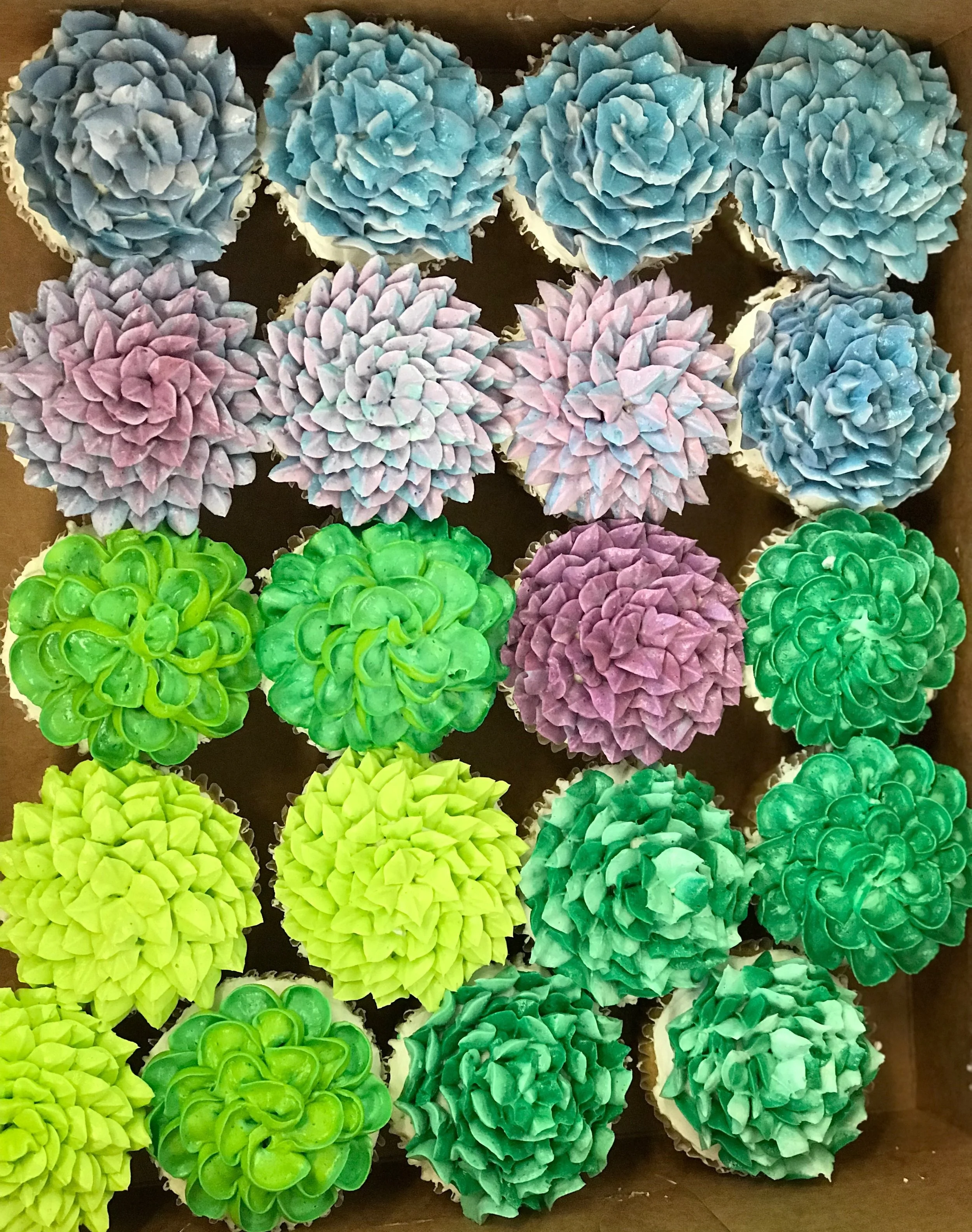 buttercream succulent cupcakes.JPG