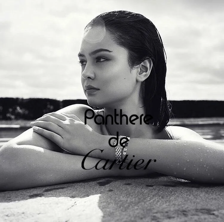CARTIER X JEAN BERNARD THIELE