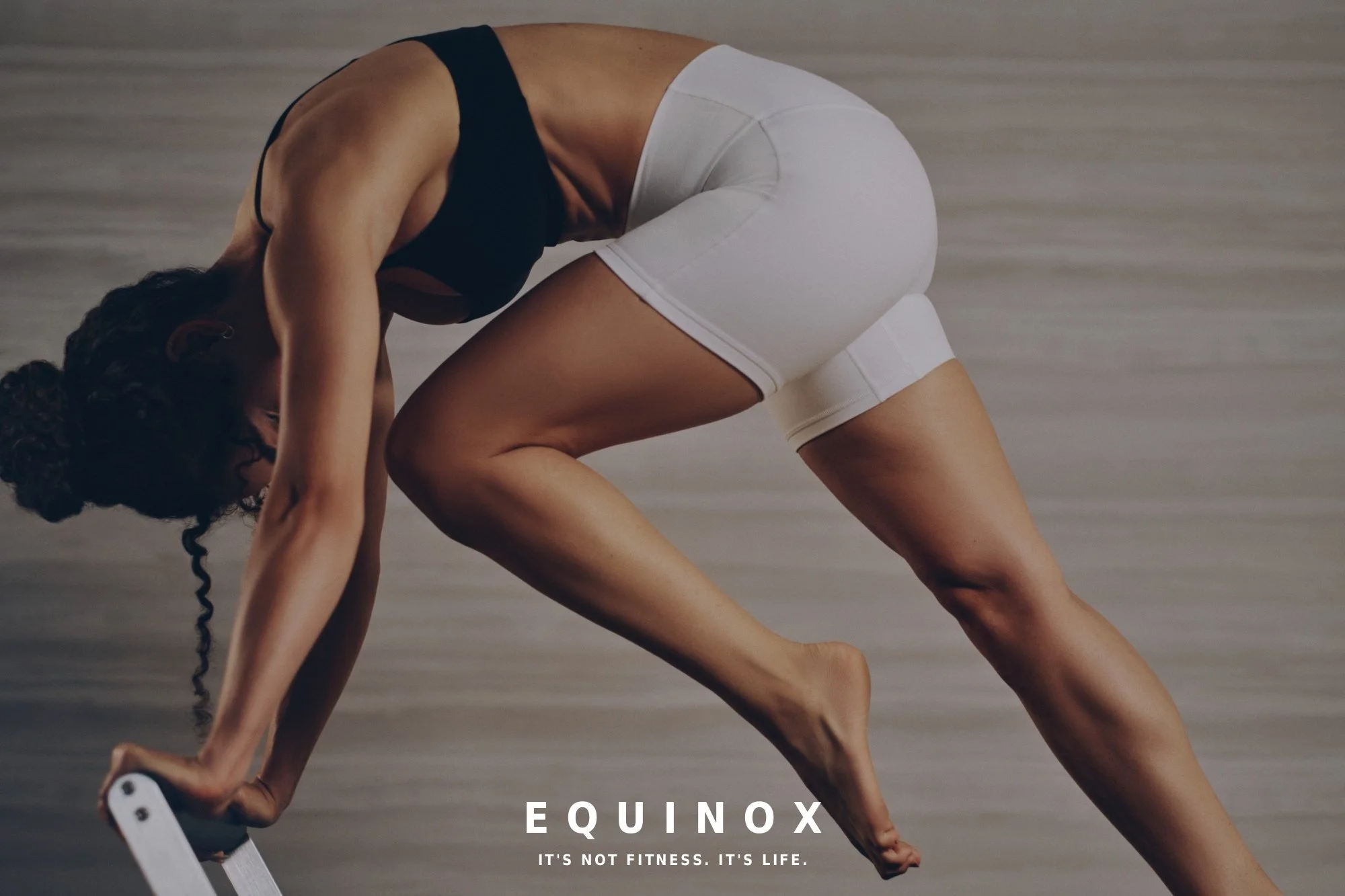 EQUINOX LACOSTA SHOT 3 with logo.jpeg