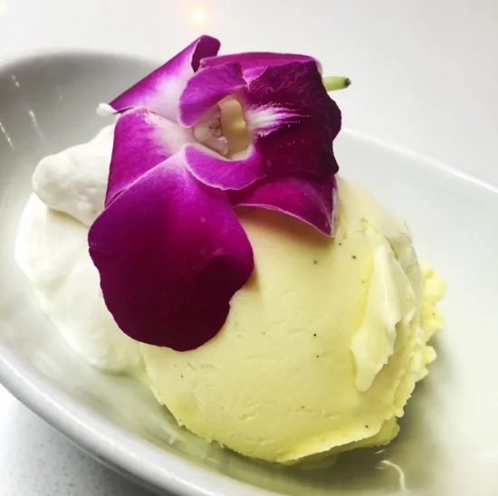 Vanilla Frozen Custard.jpeg