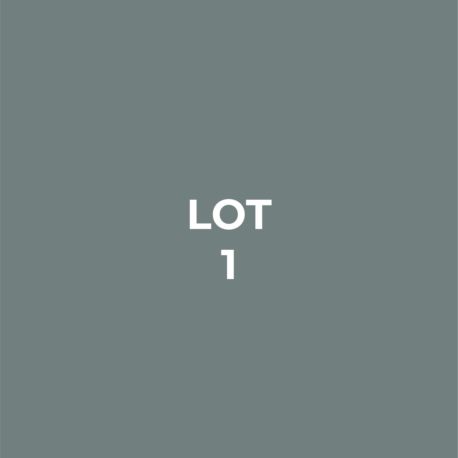 lot squares-05.png