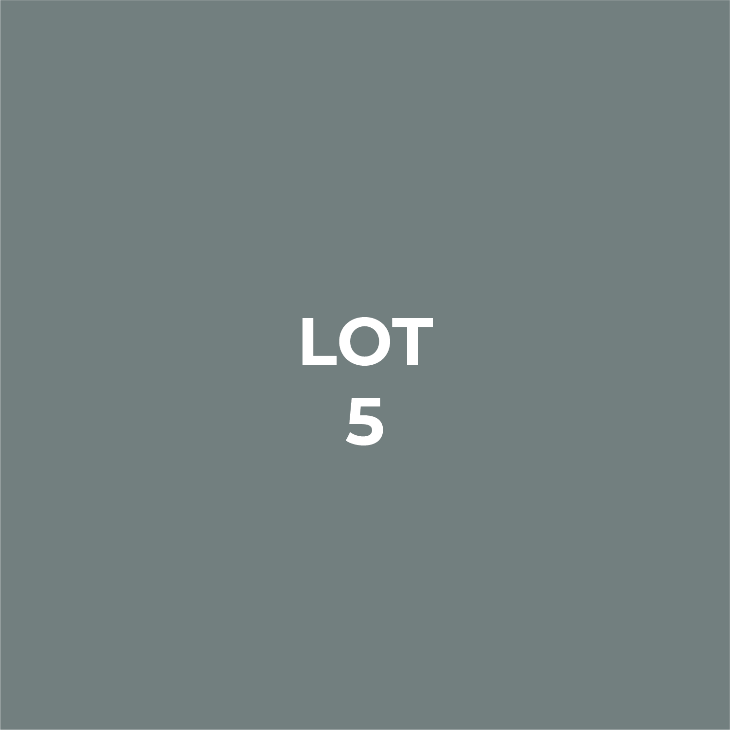 lot squares-09.png