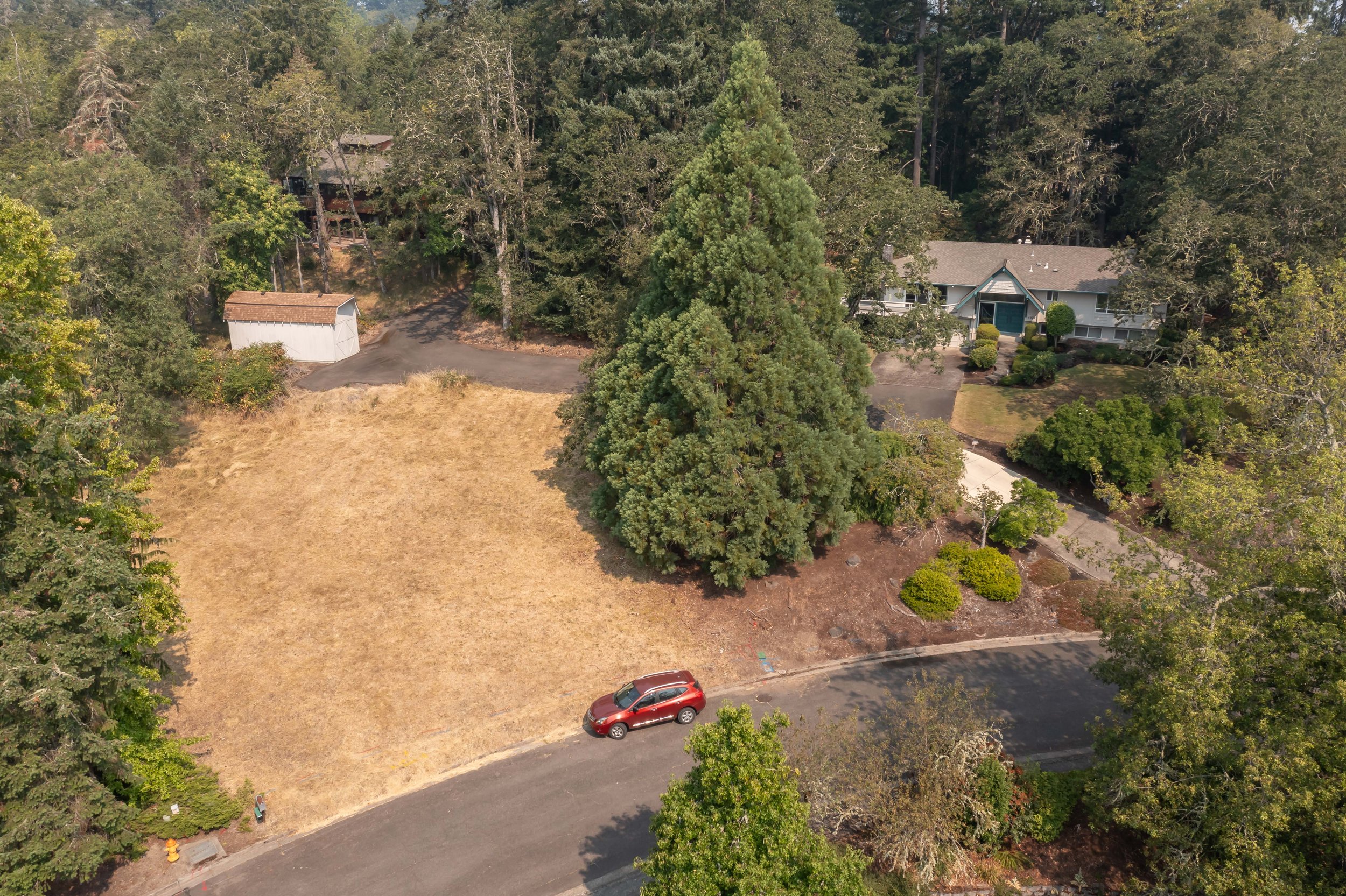 shelly rena property-25-HDR.JPG