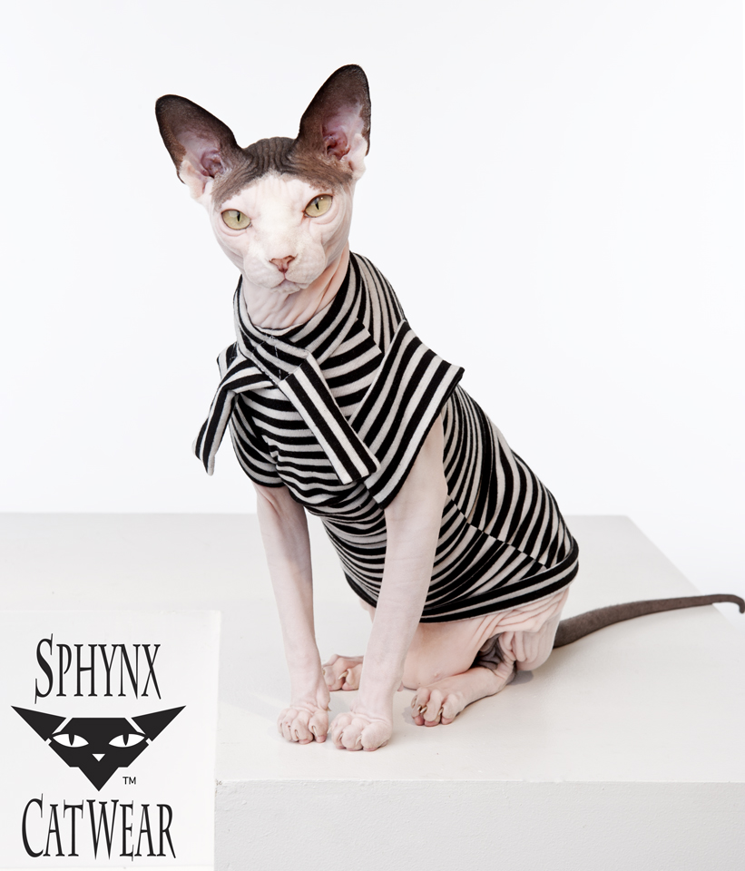 Designed the start up line of Sphynx Cat Wear , 2008 - 2011 Including: Fittings of sphynx cats, multiple prototype designs, & finalizing manufacture-ready patterns. Photography by the late Christopher Voelker, used by his permission.