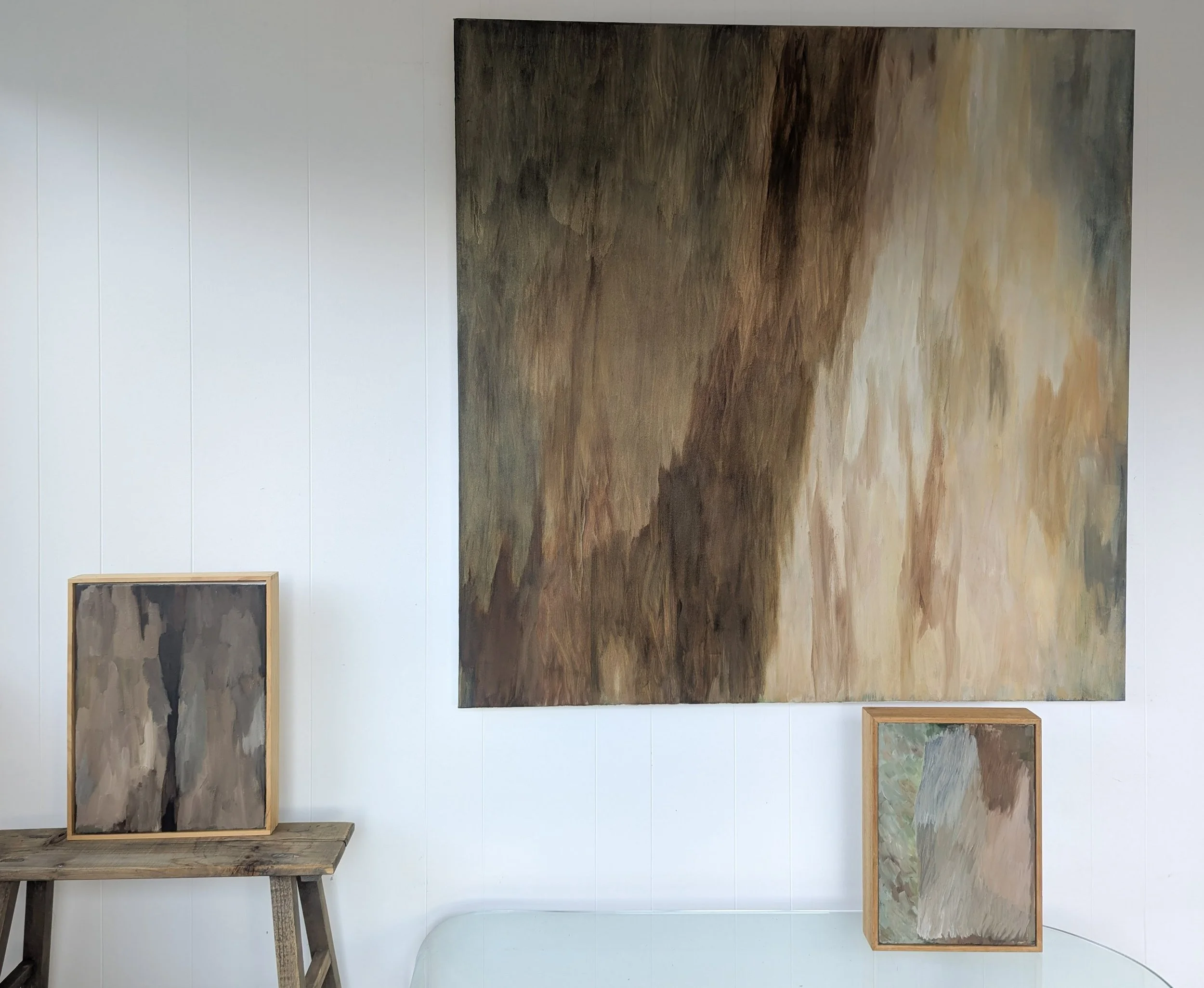 Bark in Bay Window Studio 2026.jpg