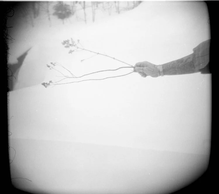 Ali and Branch, Winter, 2025.
Black-and-white photograph, Holga camera.