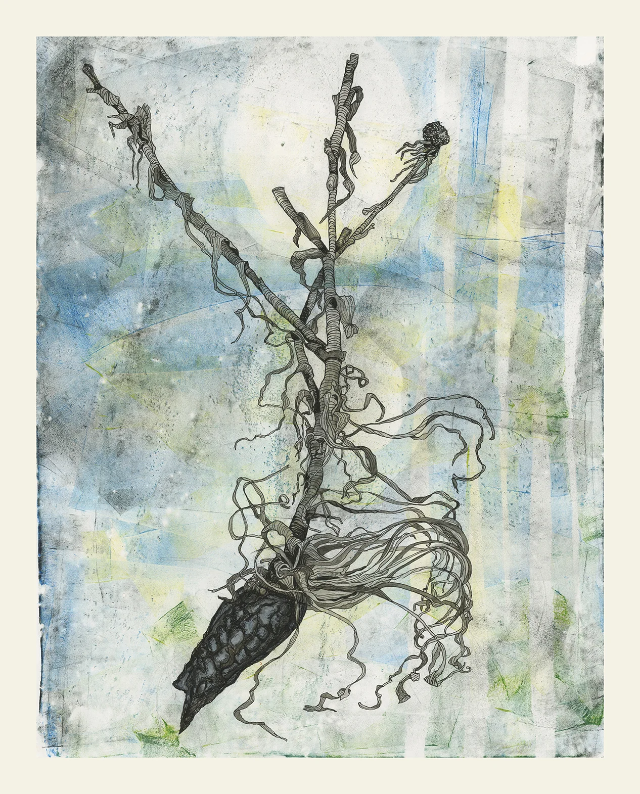Ink Study of Wilted Root Structure Monterey BLVD. 37.731795, -122.444074