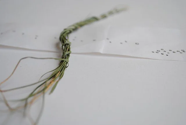 Seed, Pod, Nest Series.
Ink and Woven Grass, Installation View.