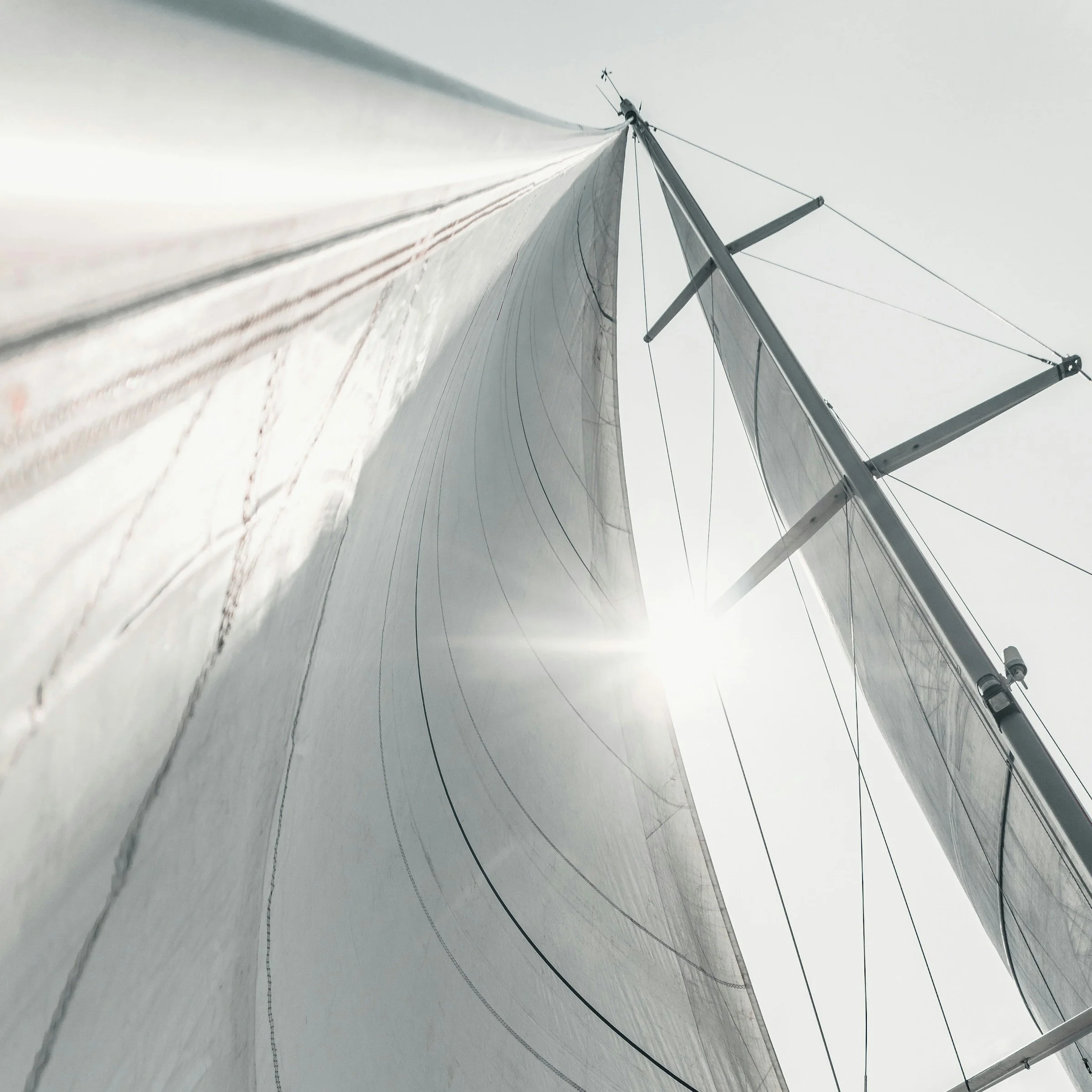 Wind resistance or wind at your backs?