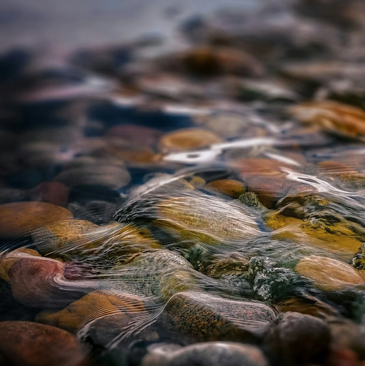 Start Upstream