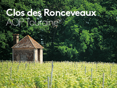 Clos de Ronceveaux