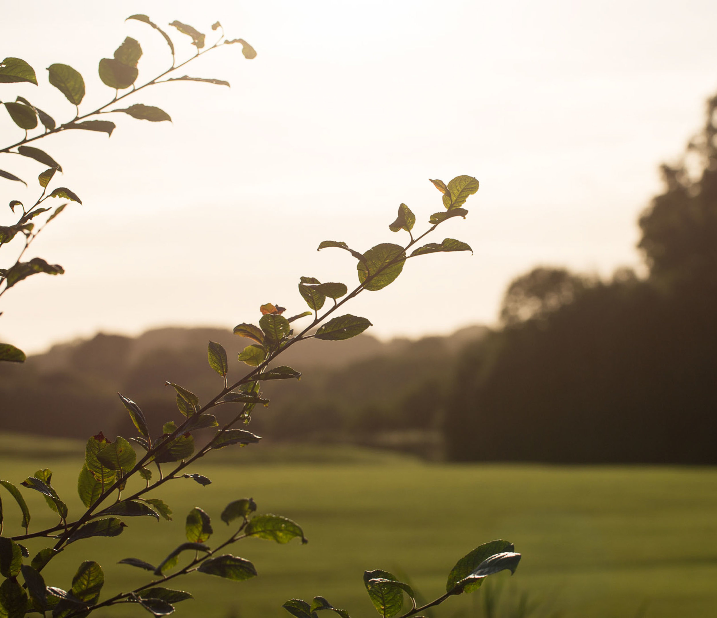 Cottrell Golf Club wedding photos. Wedding photographer Vale of Glamorgan, cardiff, south wales,