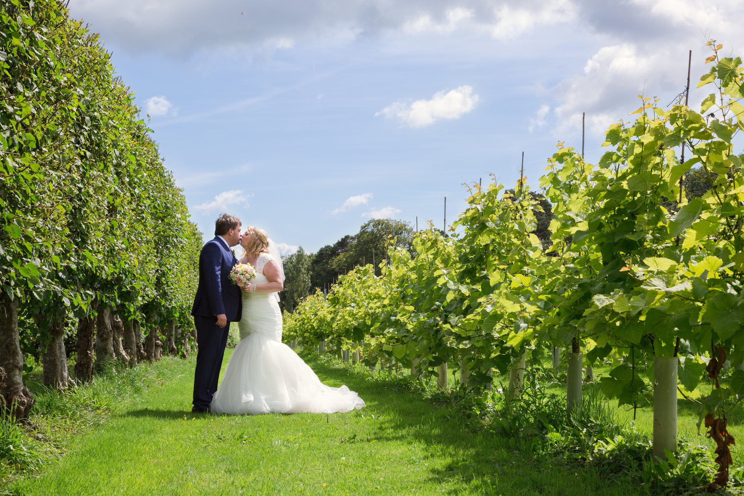 Bride and groom photos at llanerch vineyard