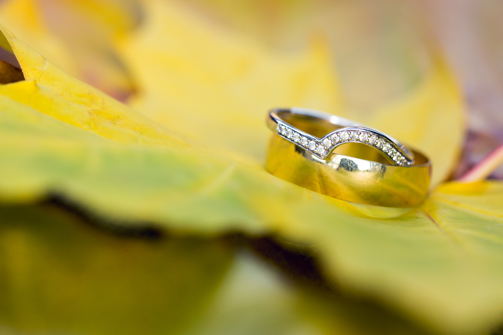 Autumn wedding photos, south wales wedding photographer, wedding rings