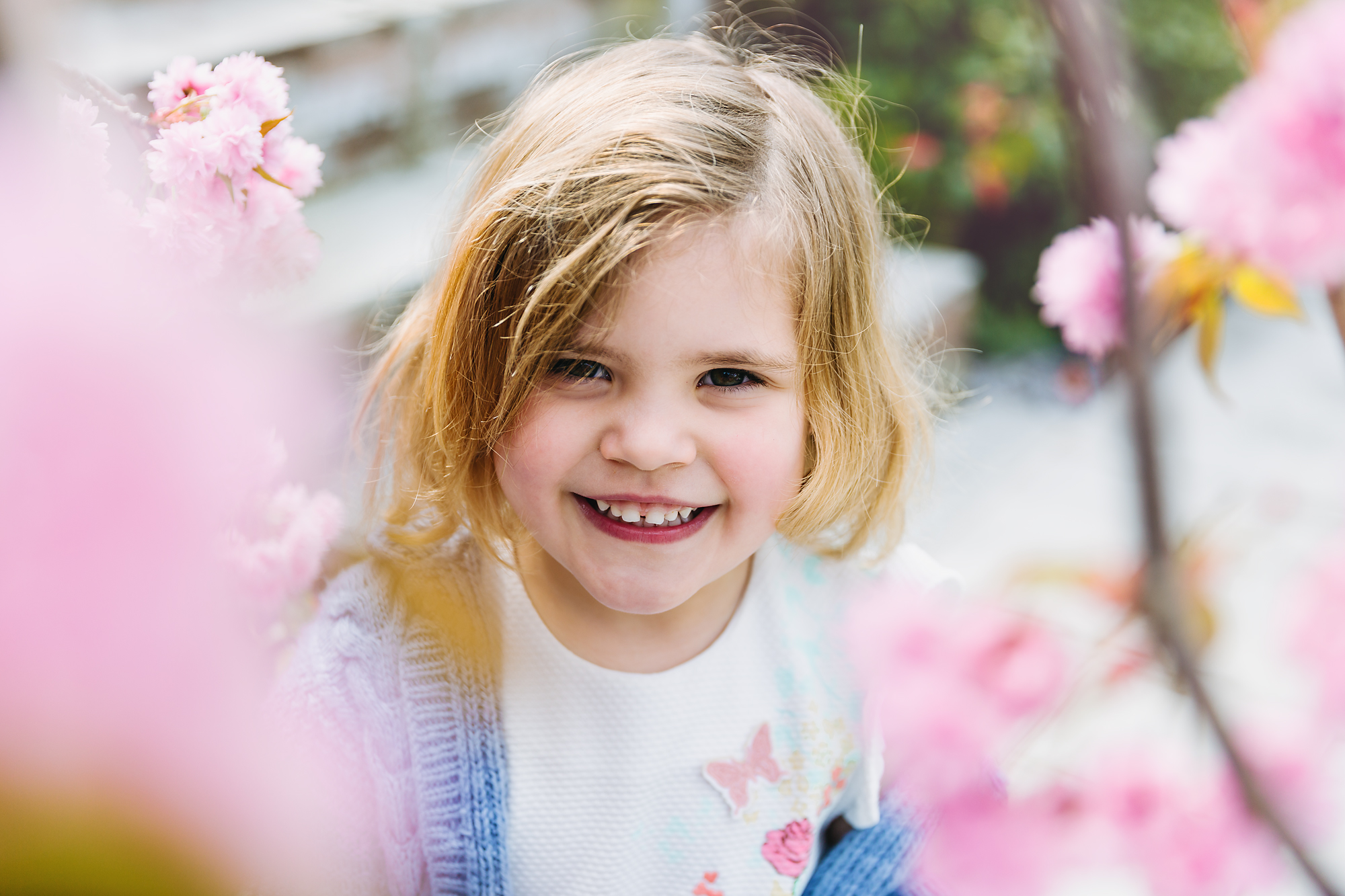 Children's portraits in spring cherry blossom