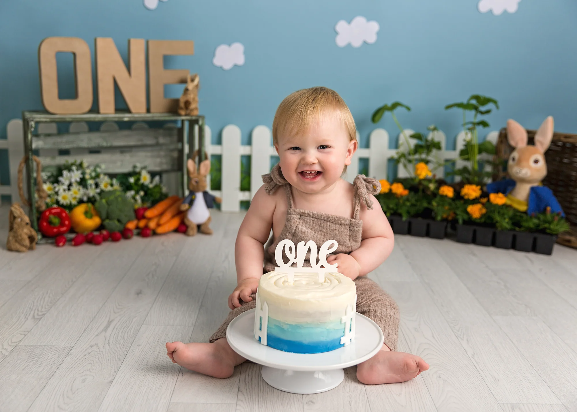 Peter Rabbit cake smash south wales Cardiff
