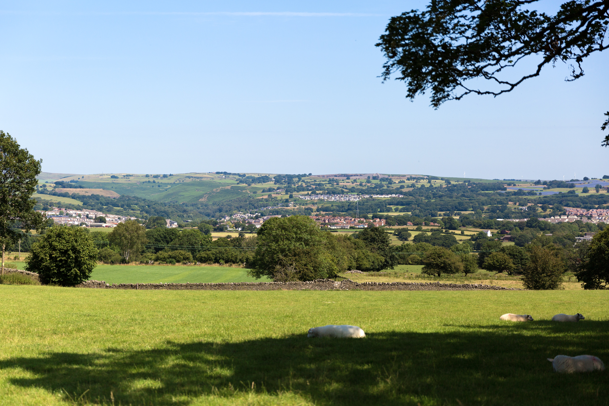 Llechwen Hall views
