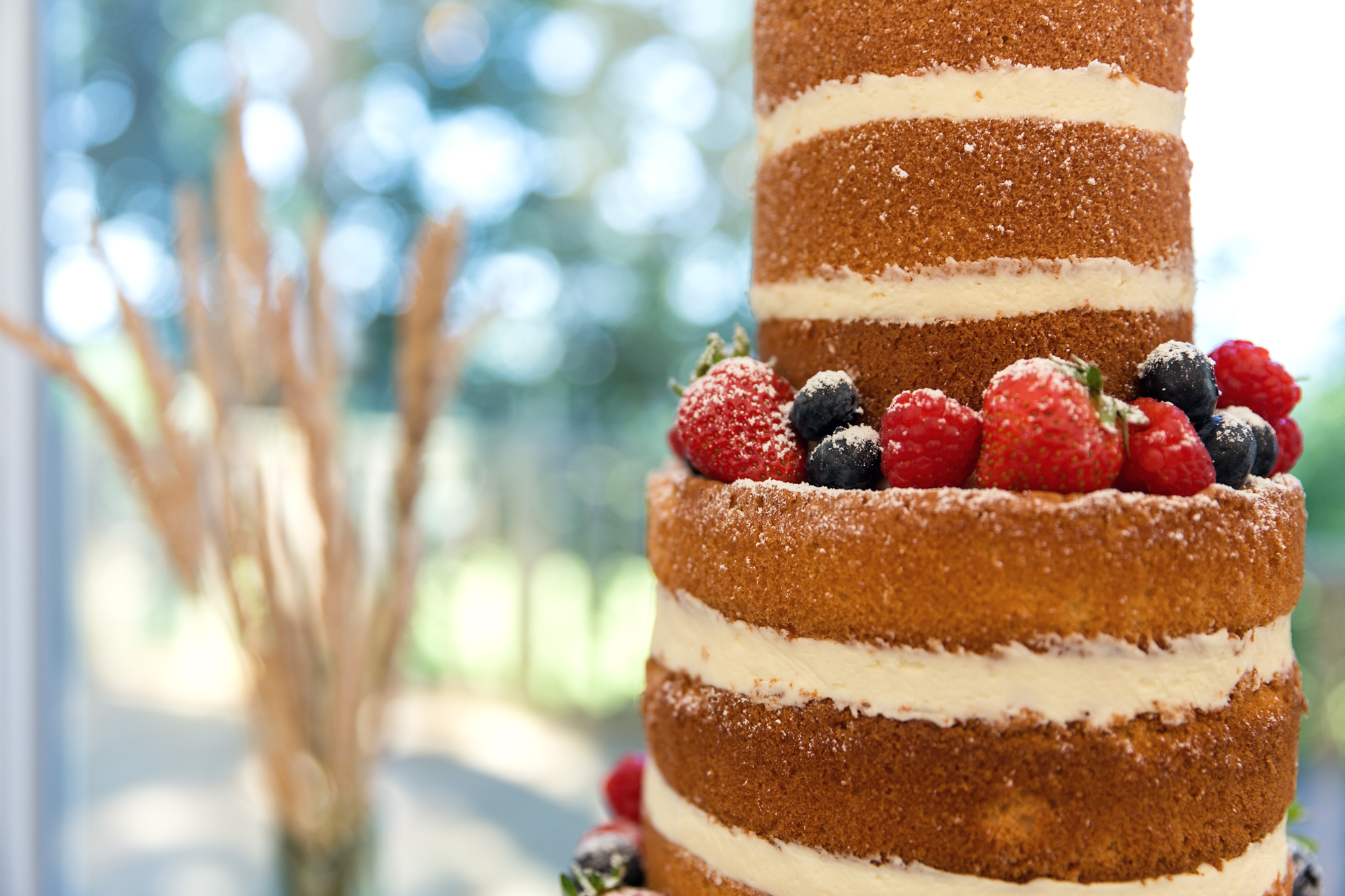 naked wedding cake at llechwen hall