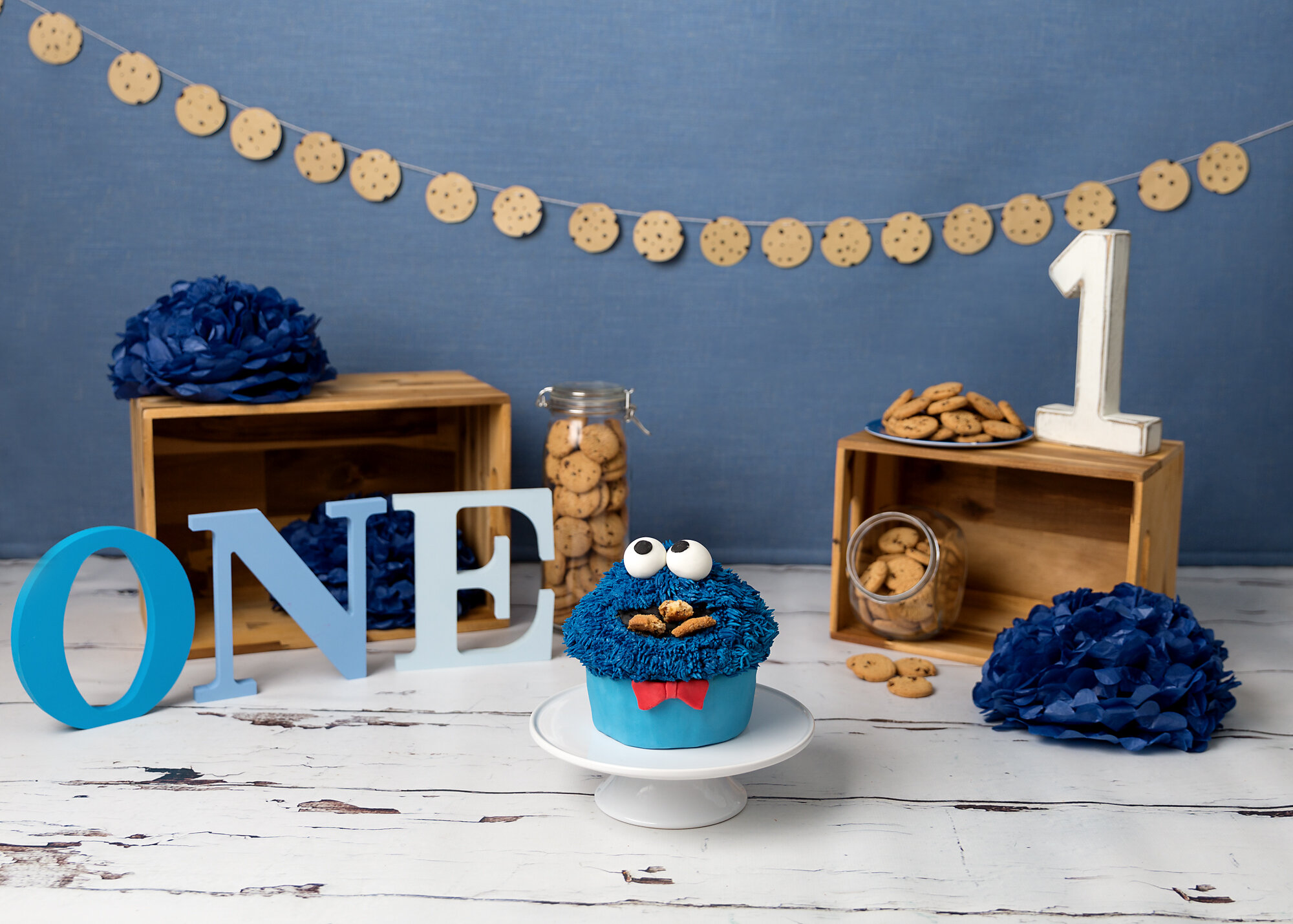 Cookie Monster cake smash Cake Smash Cardiff