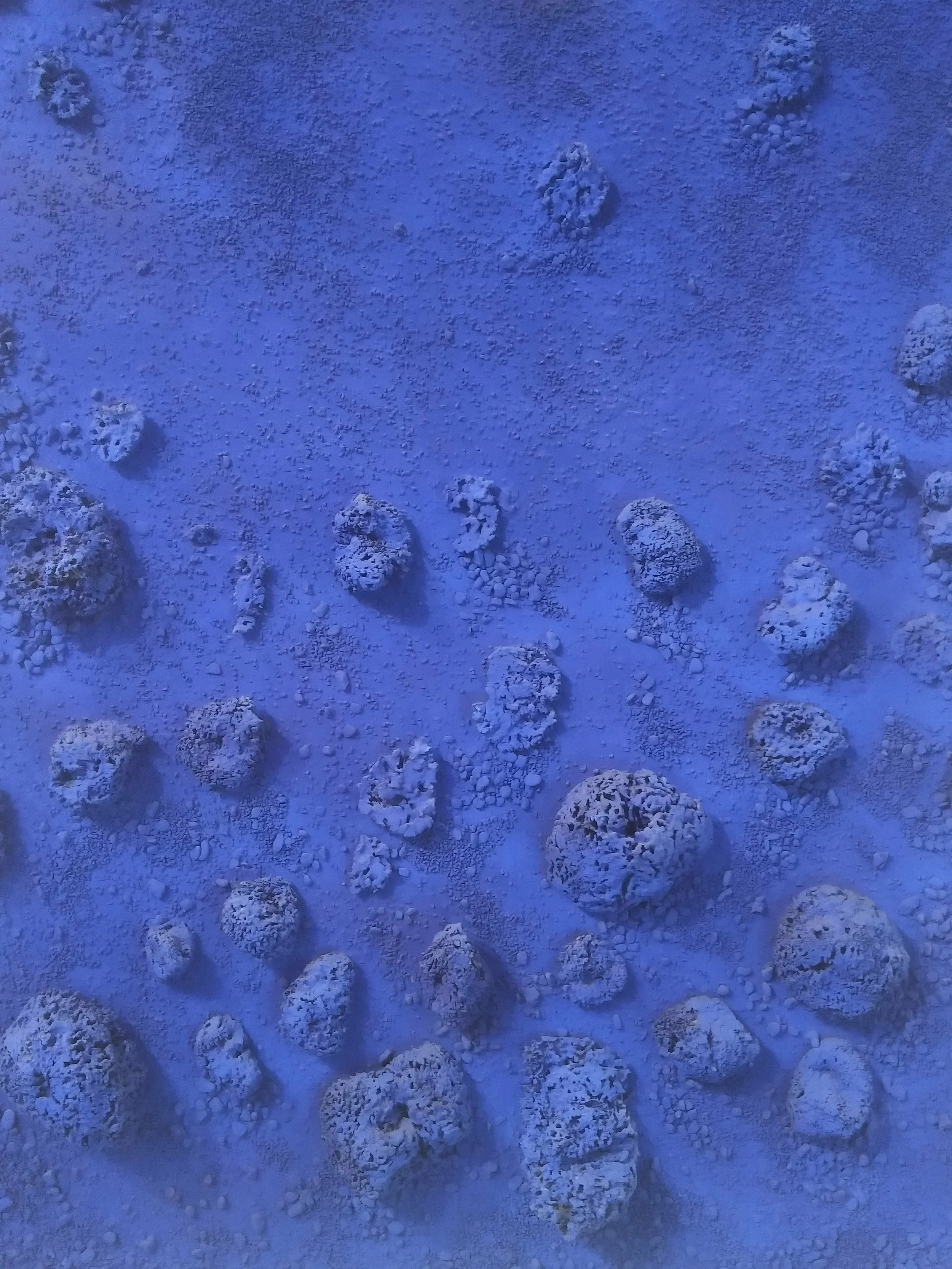 Yves Klein monochrome work at Tate Liverpool 2017