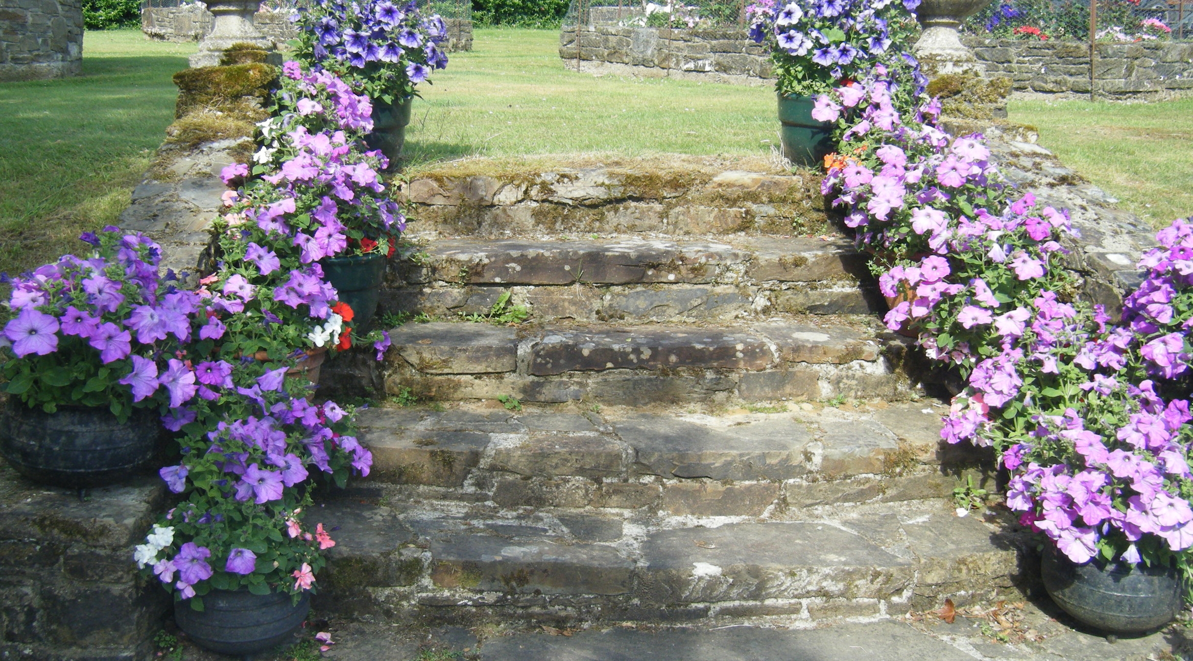 DSCF3075.JPG