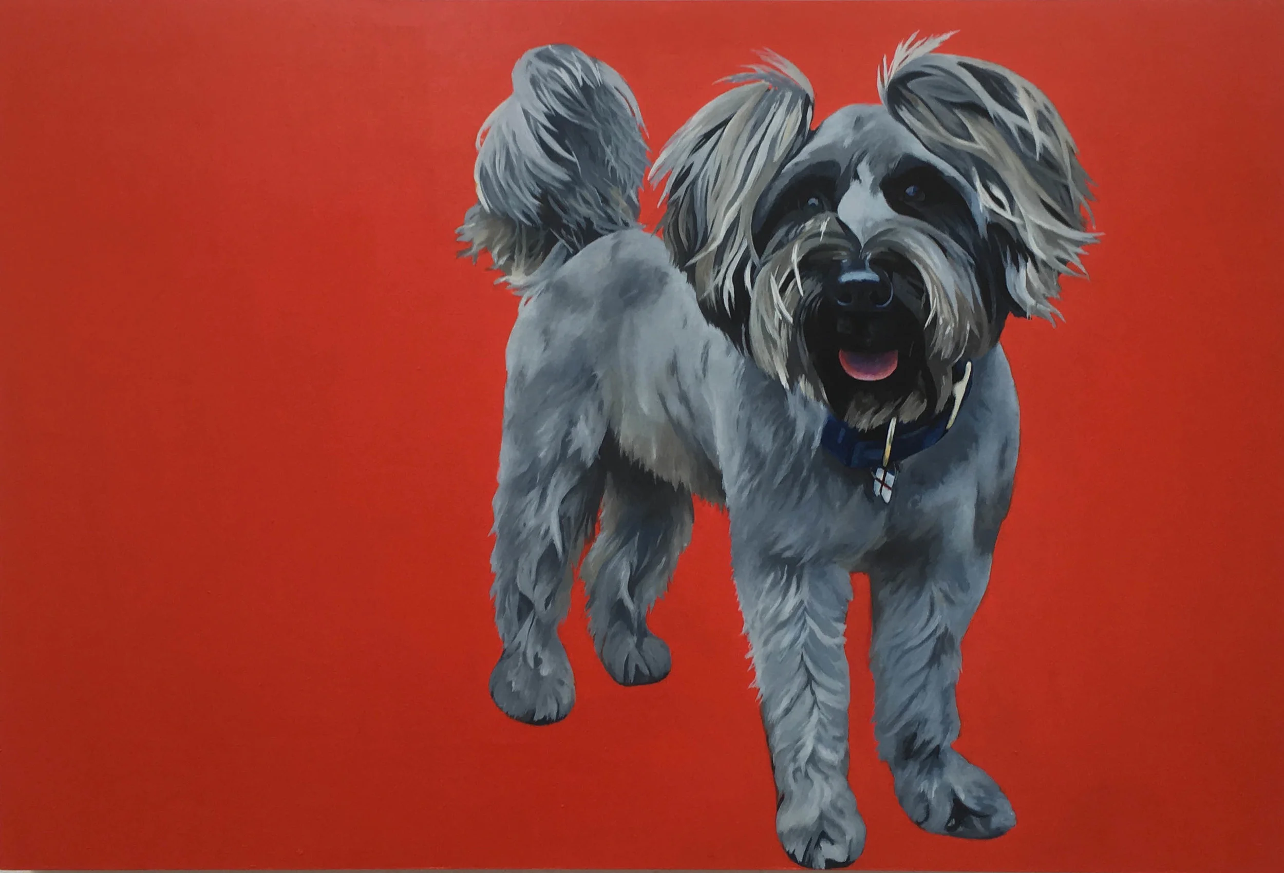 Tucker, oil on board, 612 x 920 x 50mm