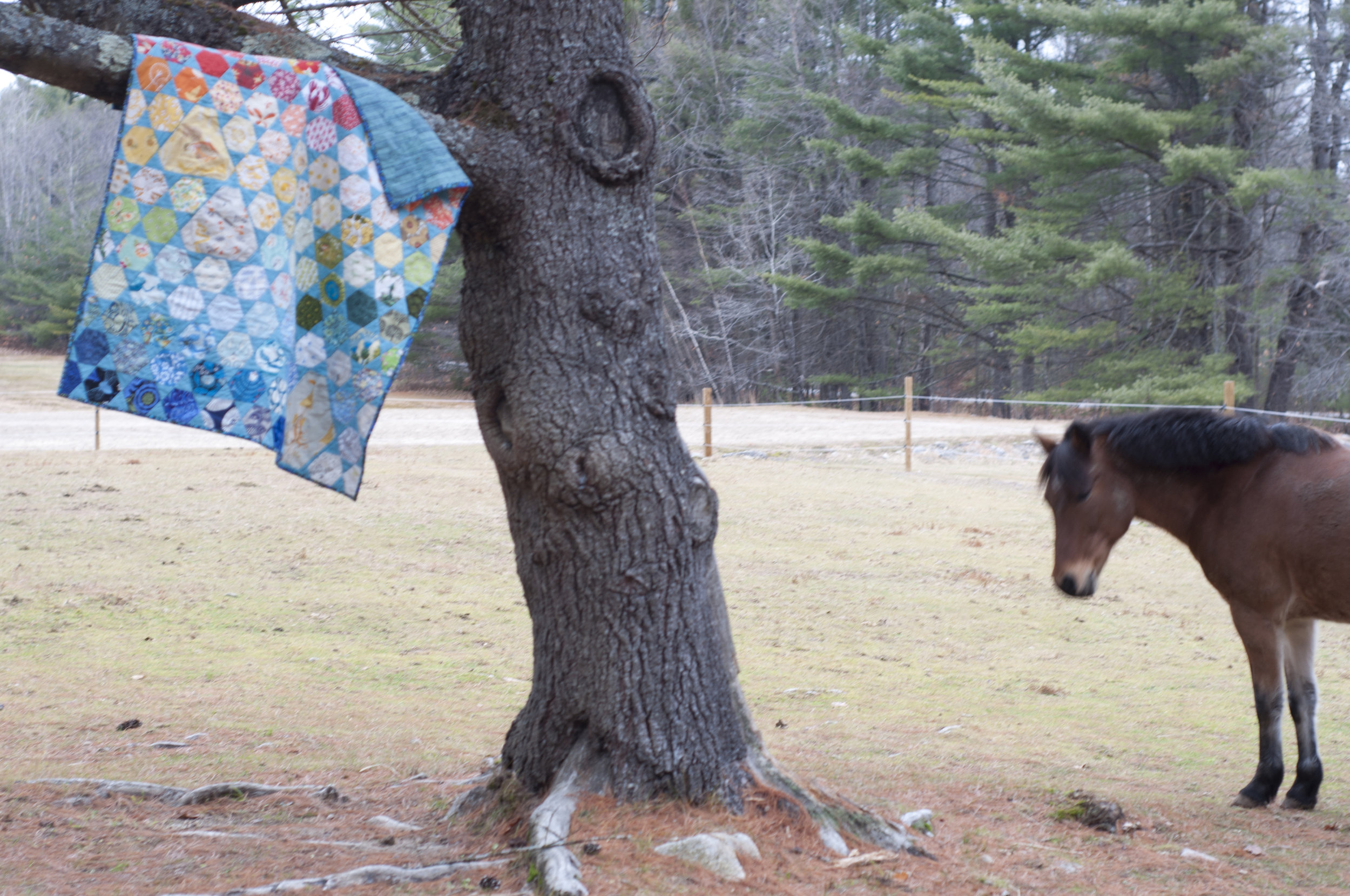 isabelleBabyQuilt_Toby_72.jpg