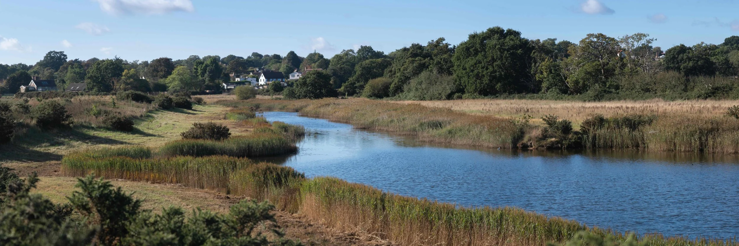 Banks of the Deben, Towards Waldringfield