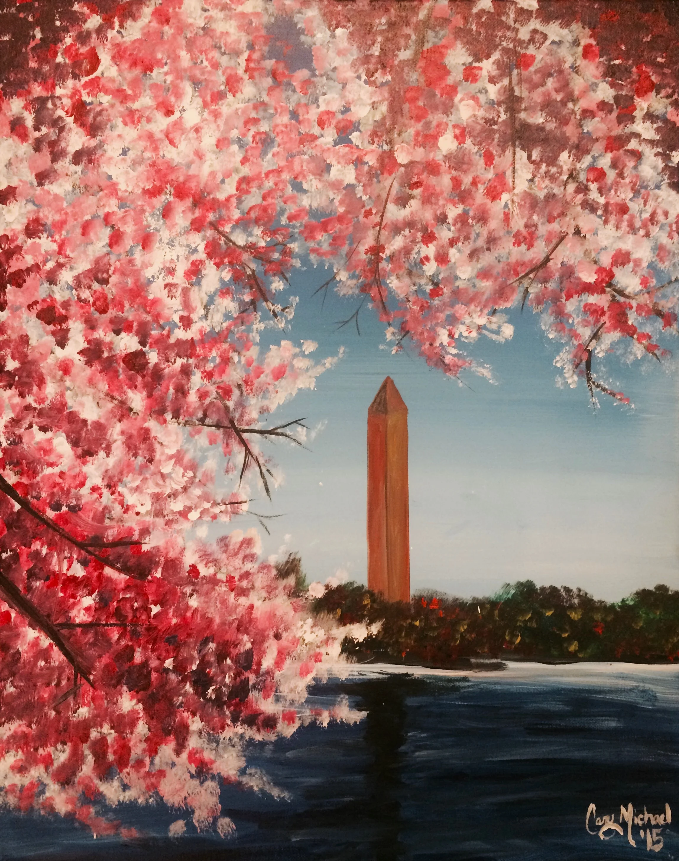 Cherry Blossoms Over DC (2015)